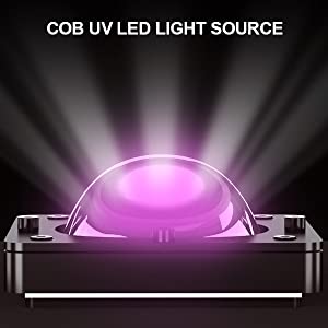 COB UV LED Light Source