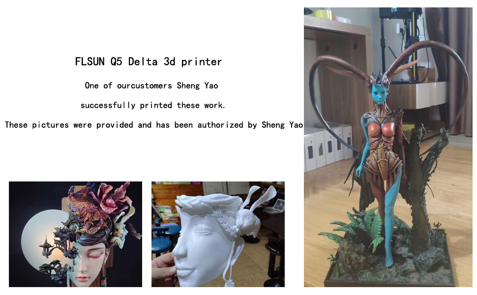 FLSUN Q5 3d printer
