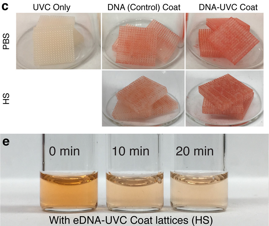 Researchers 3D printed DNA loading and control parts Researchers 3D printed DNA loading and control parts