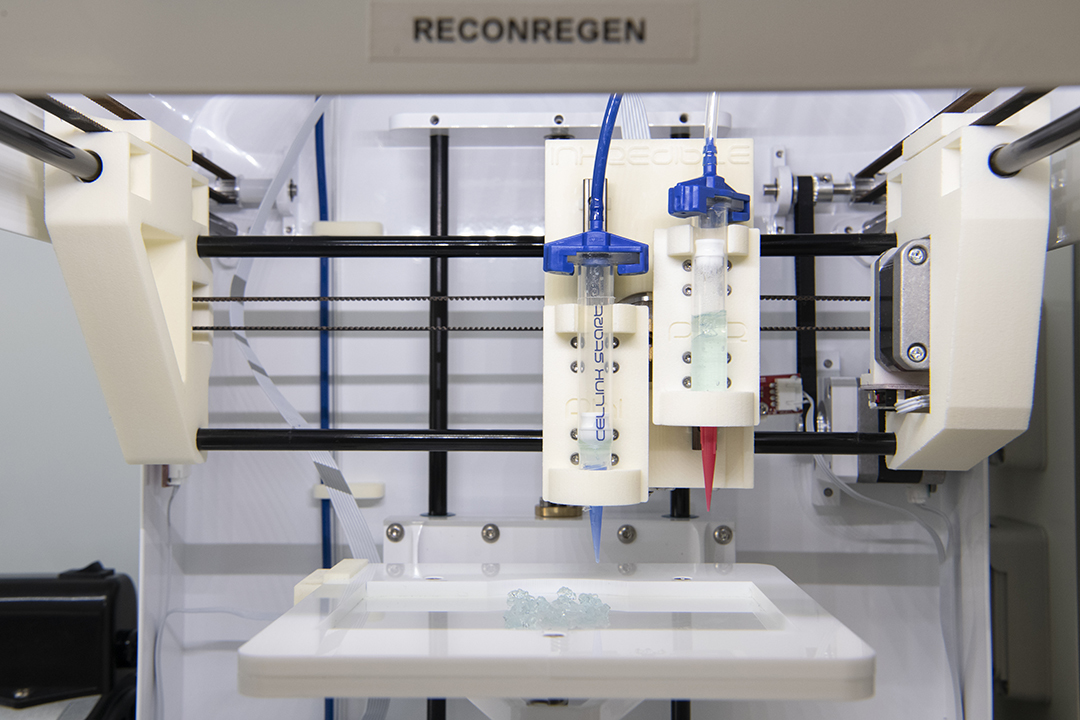 Swansea University’s Scarless Foundation researches the use of Celllink technology and bio-inks to advance the development of 3D bioprinted facial cartilage  Swansea University’s Scarless Foundation researches the use of Celllink technology and bio-inks to advance the development of 3D bioprinted facial cartilage