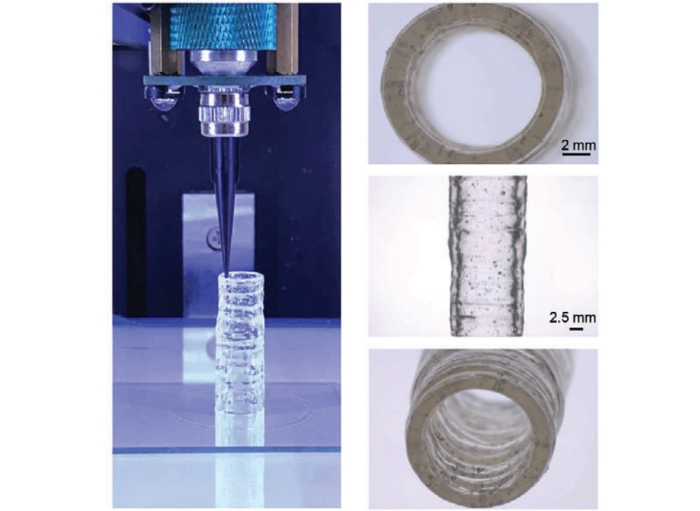 The blood vessel model can be 3D bioprinted using an extrusion-based system