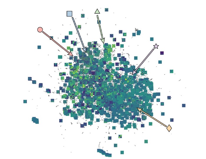 The illustration of the neural network shows the symmetry image similarity from a database of more than 25,000 piezoelectric response force microscope images The illustration of the neural network shows the symmetry image similarity from a database of more than 25,000 piezoelectric response force microscope images
