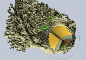 Software modeling of the aortic valve