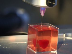 Heart tissue engineering