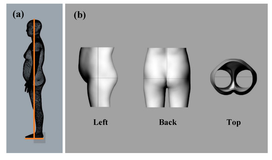 Human body baseline setting procedure (a) and human body scan data processing (b).