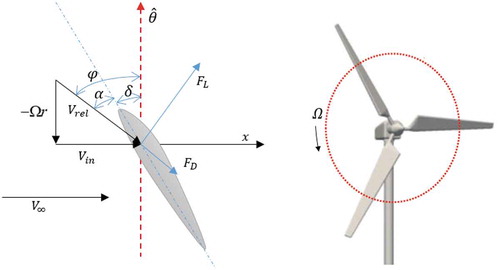   The force and velocity vector θ ⌢ acting on the cross section of the HAWT blade is the tangent direction of the blade