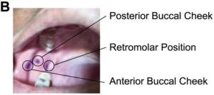 Three-point oral photos with ink traces tested in ergonomics research Three-point oral photos with ink traces tested in ergonomics research