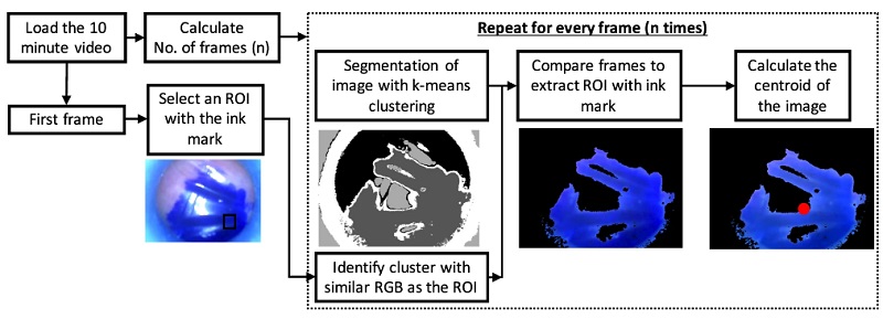 Flow chart of video and image processing methods Flow chart of video and image processing methods