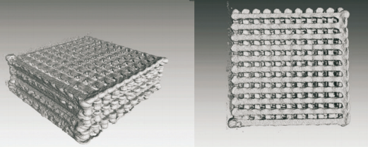 Printed scaffold prepared by FFF technology, displayed by computer tomography Printed scaffold prepared by FFF technology, displayed by computer tomography