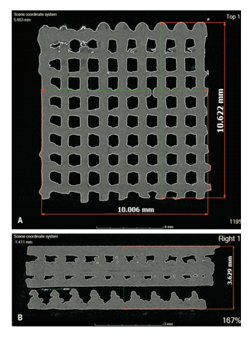 The output of the scaffold-the internal structure of the scaffold  The output of the scaffold-the internal structure of the scaffold