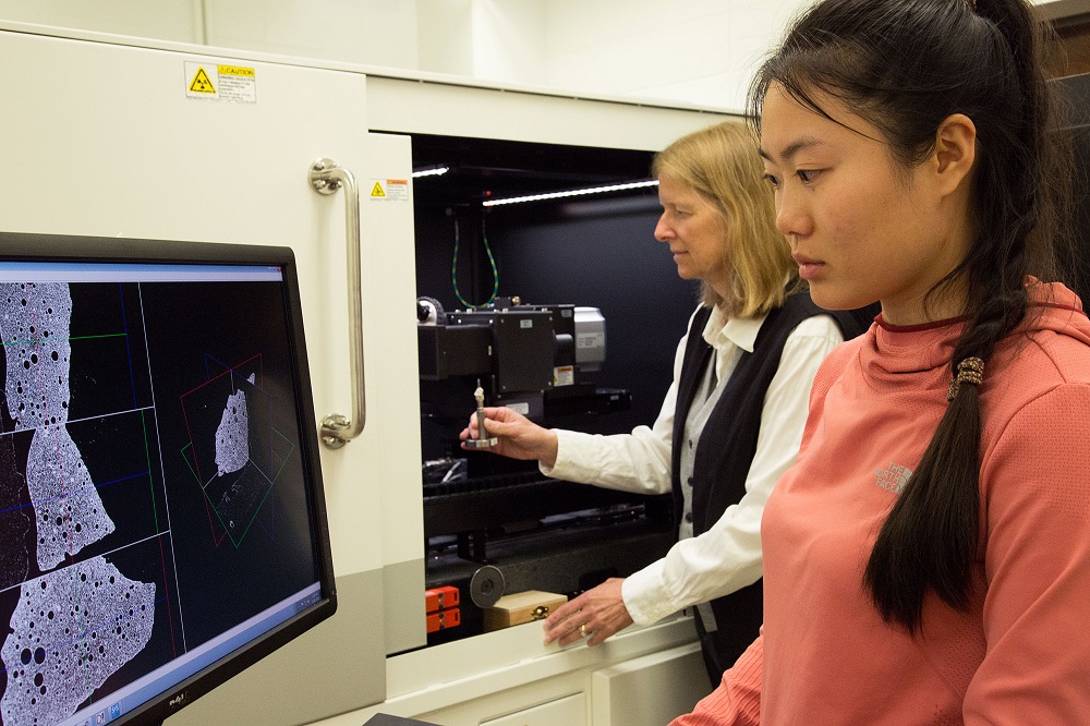  Professor Pyrak-Nolte uses 3D imaging technology to work on the project
