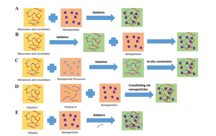 Schematic diagram depicting various methods of synthesizing conductive hydrogels Schematic diagram depicting various methods of synthesizing conductive hydrogels