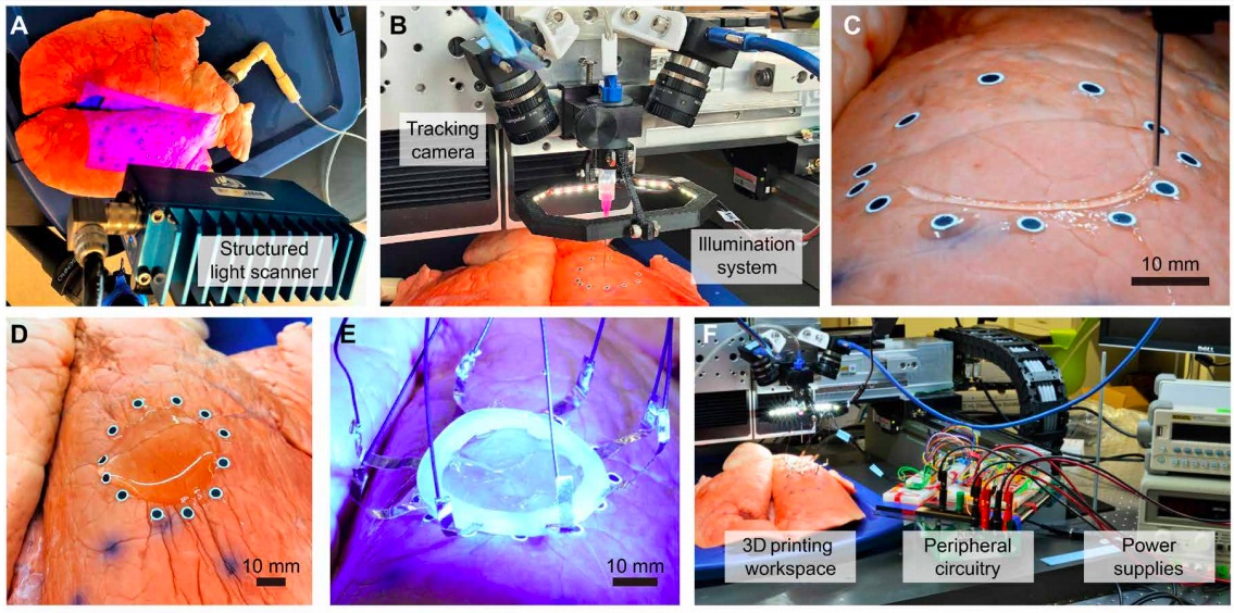 The research team used a dual-camera motion tracking method, which can accurately place the sensor on the pig’s lungs The research team used a dual-camera motion tracking method, which can accurately place the sensor on the pig’s lungs