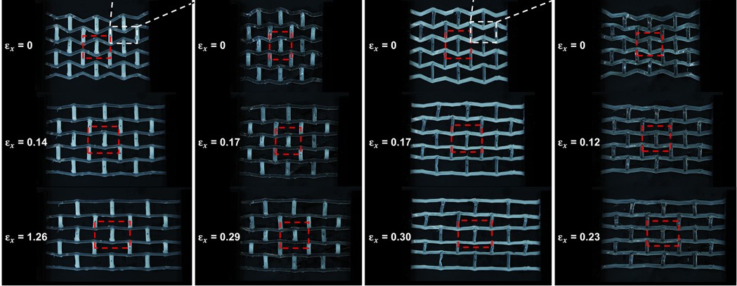 Active lattice structure composed of functionally graded LCE Active lattice structure composed of functionally graded LCE