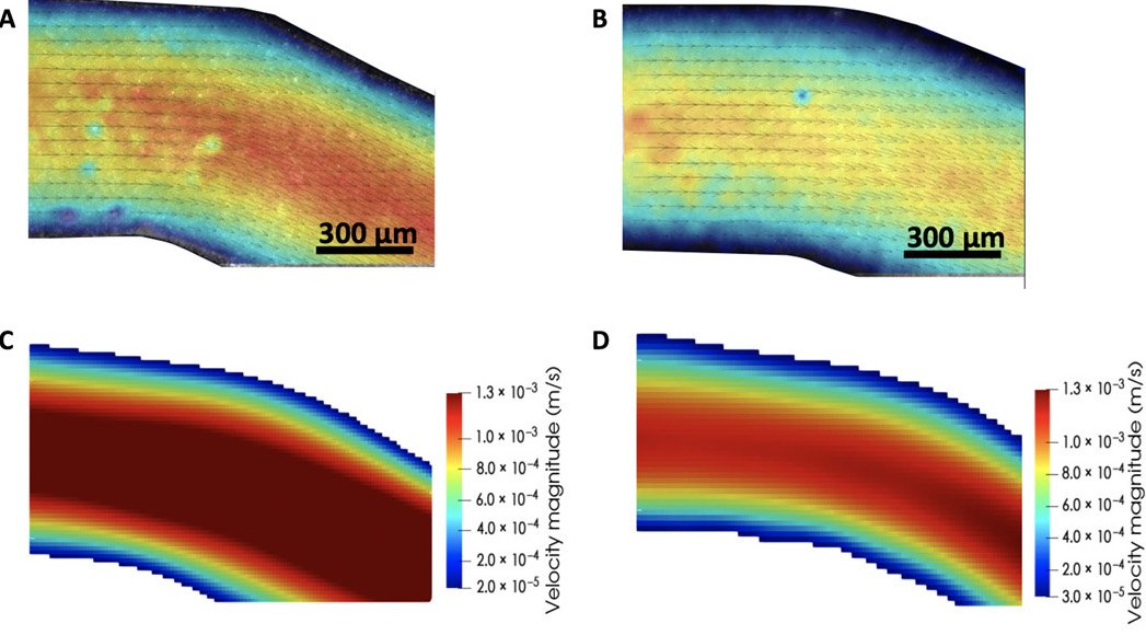 The researchers concluded that their combined verification method has successfully found a pattern of cancer cell behavior