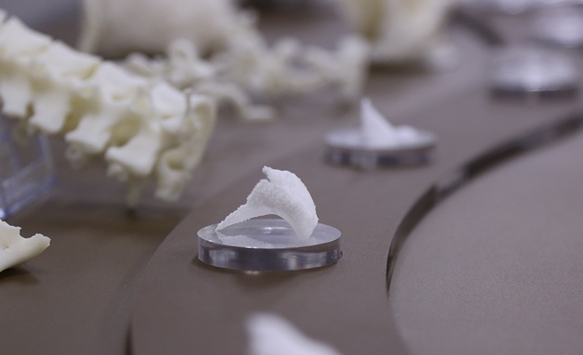 T&R Biofab已部署其<a href=