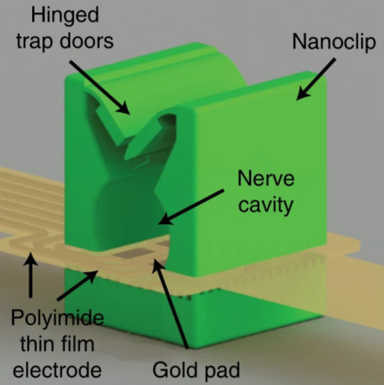 Rendering of the neural interface of the nanoclip integrated with the film Rendering of the neural interface of the nanoclip integrated with the film