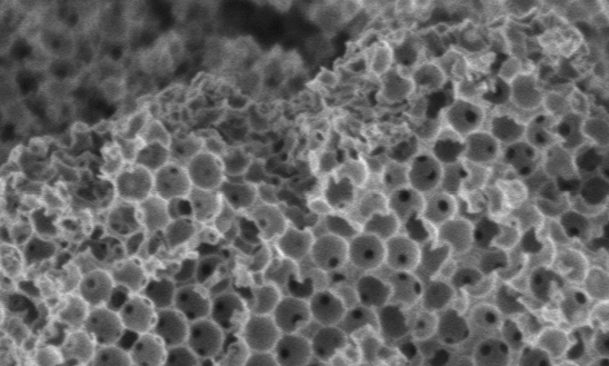 Researchers' new sponge-like catalyst can produce more efficient biofuels Researchers' new sponge-like catalyst can produce more efficient biofuels