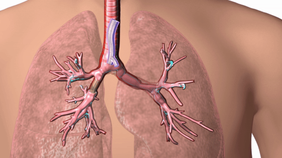 Provide patient-specific products to provide a personalized healthcare experience Provide patient-specific products to provide a personalized healthcare experience