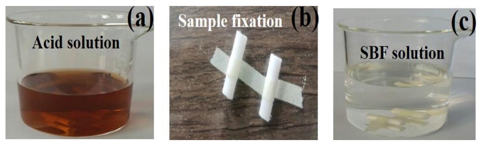 研究人员<a href=