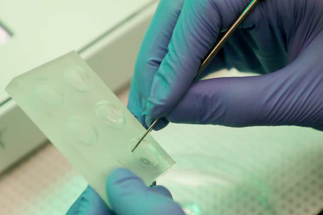 佛罗里达州A&M大学生物学学生Paul Dinh从模具中切割出<a href=