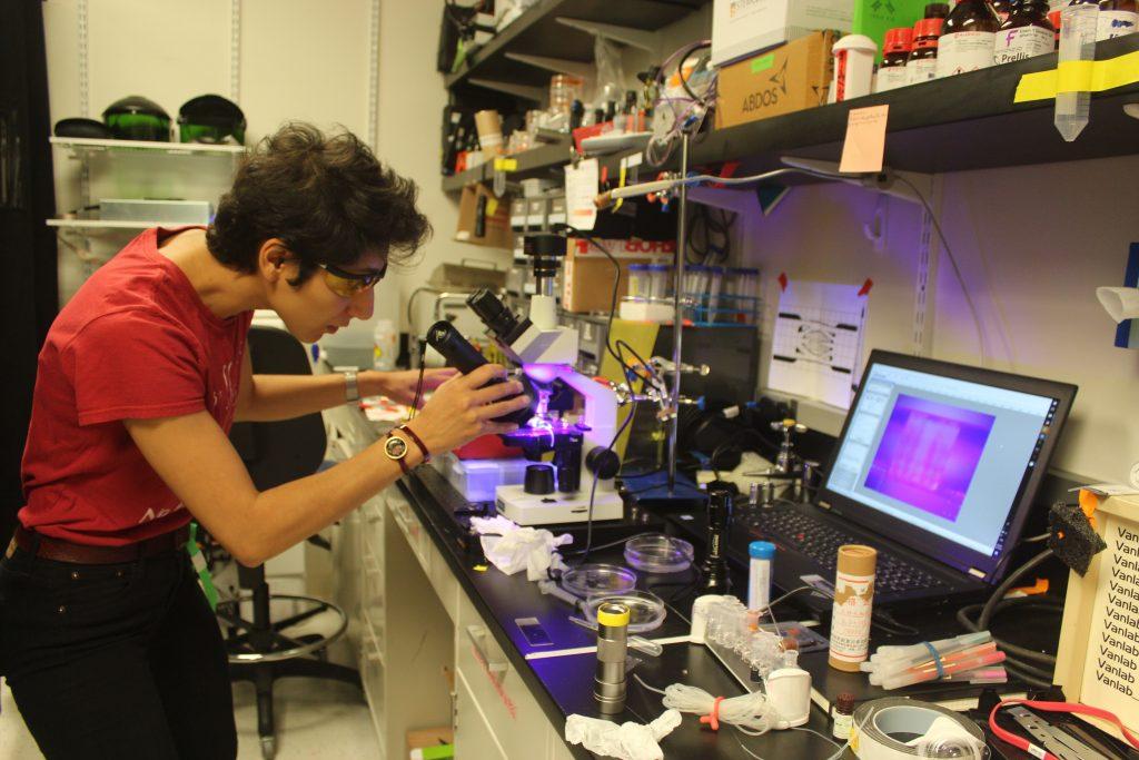 Prellis Biologics engineers study 3D printed tissue under a microscope Prellis Biologics engineers study 3D printed tissue under a microscope