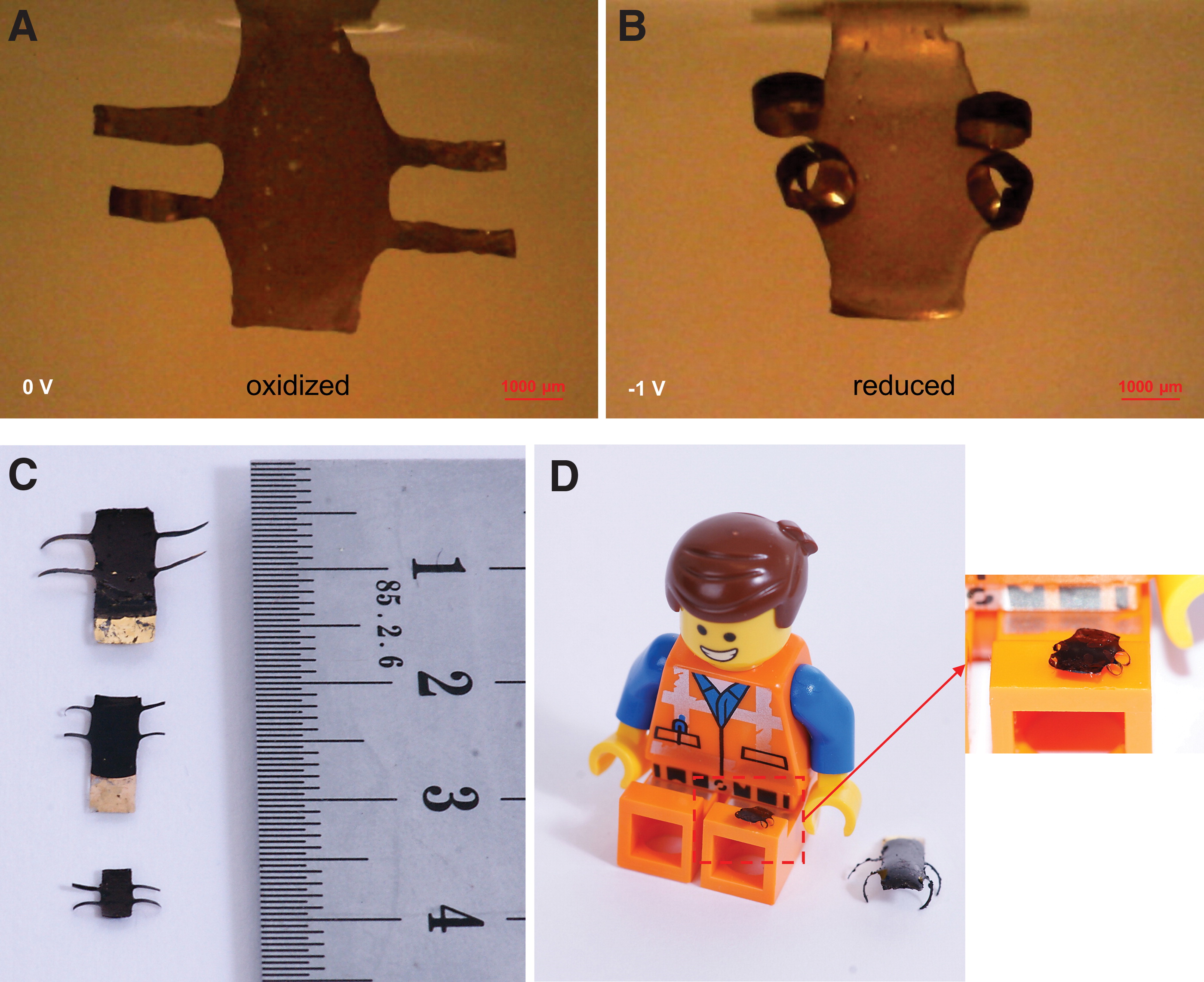 Smallest 4D printed microrobot  Smallest 4D printed microrobot