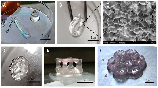 3D printed M-CMC hydrogel.   3D printed M-CMC hydrogel.